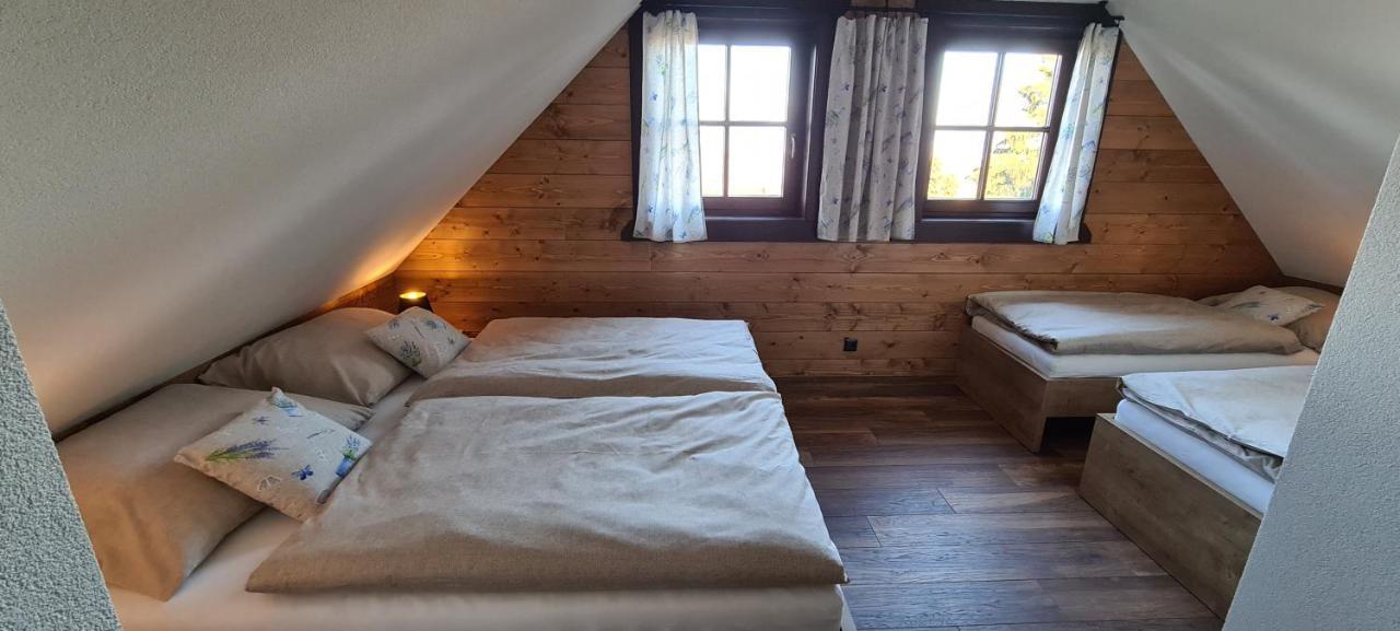 Drevenica Lesanka Villa Deménvölgy Kültér fotó